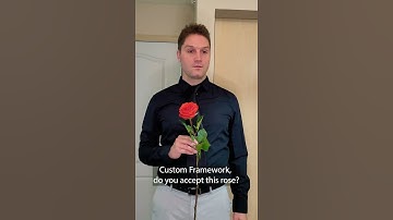 The Bachelor Developer Edition! Selecting a Framework! #shorts #developer #coding