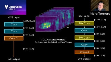 15. Detection Head. YOLO11 (YOLOv11) Series