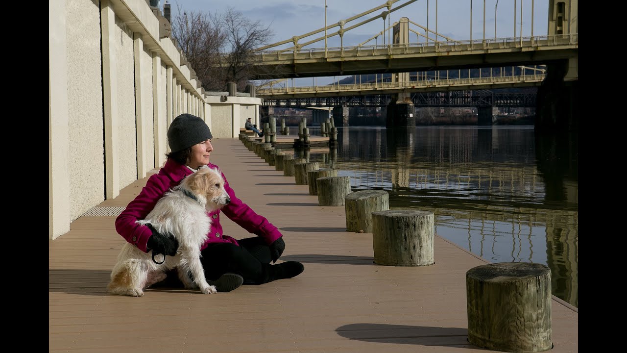 Iroh the Dog's Journey to Pittsburgh