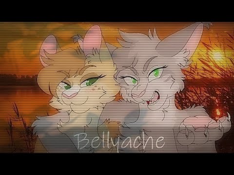 Гладкоусая об Иглохвостой../Ответ
