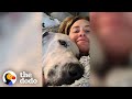 100pound great dane had no idea how to cuddle until  the dodo foster diaries