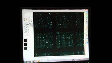 proteomics introduction - IITB
