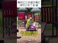 絶対にこの遊び場には行くな!😨🏞️