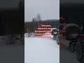 Перевозка сена, 2 декабря 2024 год.