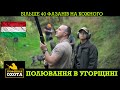 Більше 40 Фазанів на Кожного. Полювання в Угорщині. №2 | Трофейне Полювання