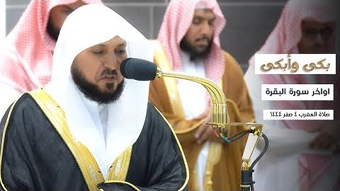بكى وأبكى المُصلين فضيلة الشيخ د. ماهر المعيقلي في أواخر سورة البقرة صلاة المغرب ٤ صفر ١٤٤٥ هـ