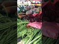 Vegetable Stall Malaysia #colombokotuwa #vegitables
