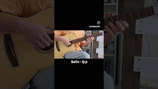 Seli̇n - Şip Solo Resimi