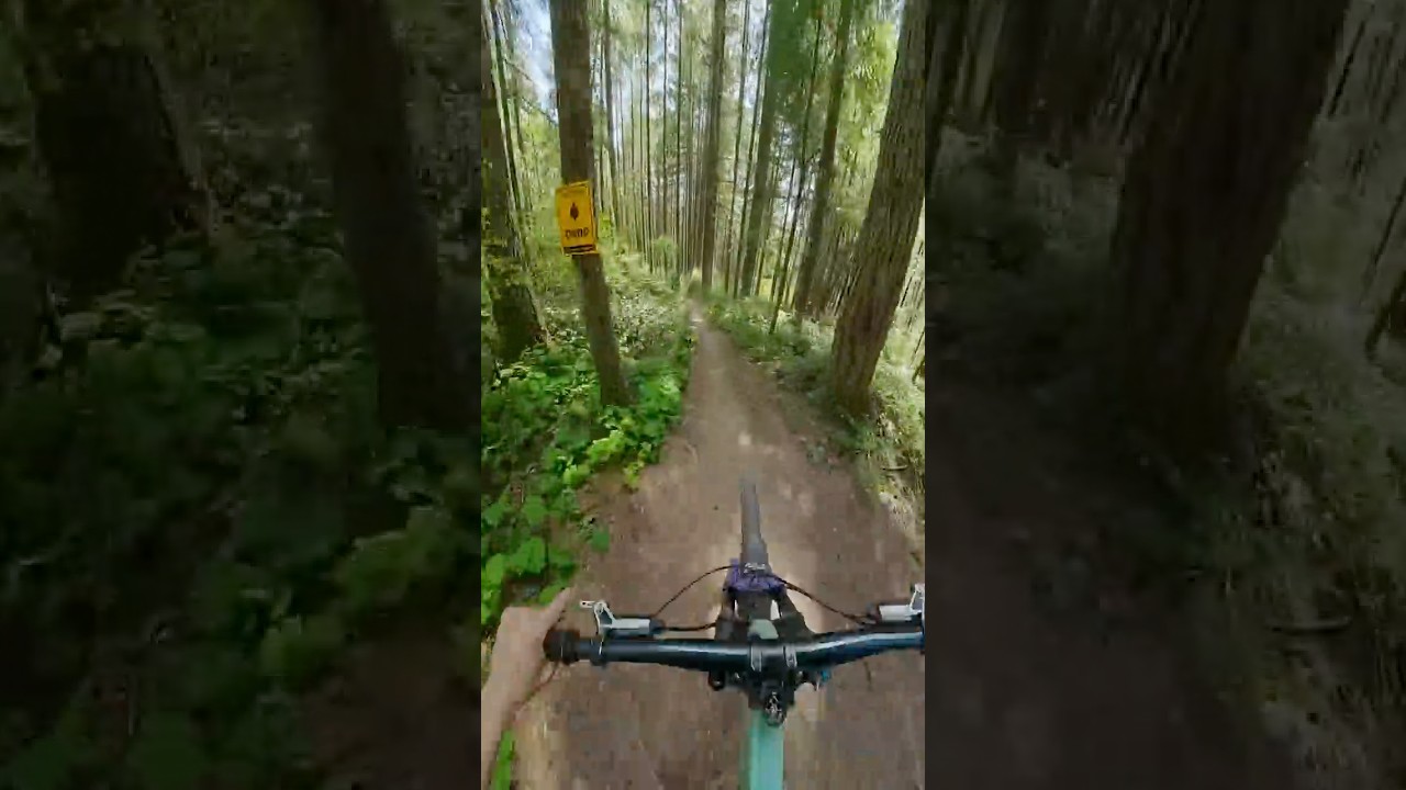The closest to mach 10 I’ll ever get 🛩️ #longlivechainsaw #prevost #mtb #rideordie