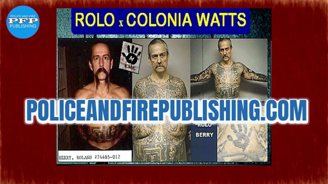 Карьера мексиканской мафии – сорокалетние (40+) гангстеры