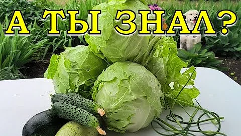 15 ОВОЩЕЙ, которые можно посеять в ИЮЛЕ🥒🍉🥦
