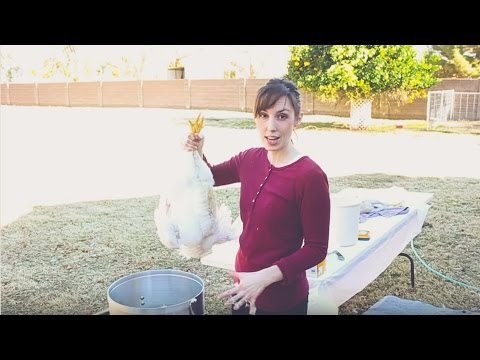 HOW TO BUTCHER & PROCESS A CHICKEN (the right way)