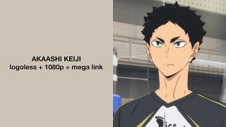 Akaashi Keiji Season 2-4 Scenes + OVA || Logoless, 1080p + Mega link