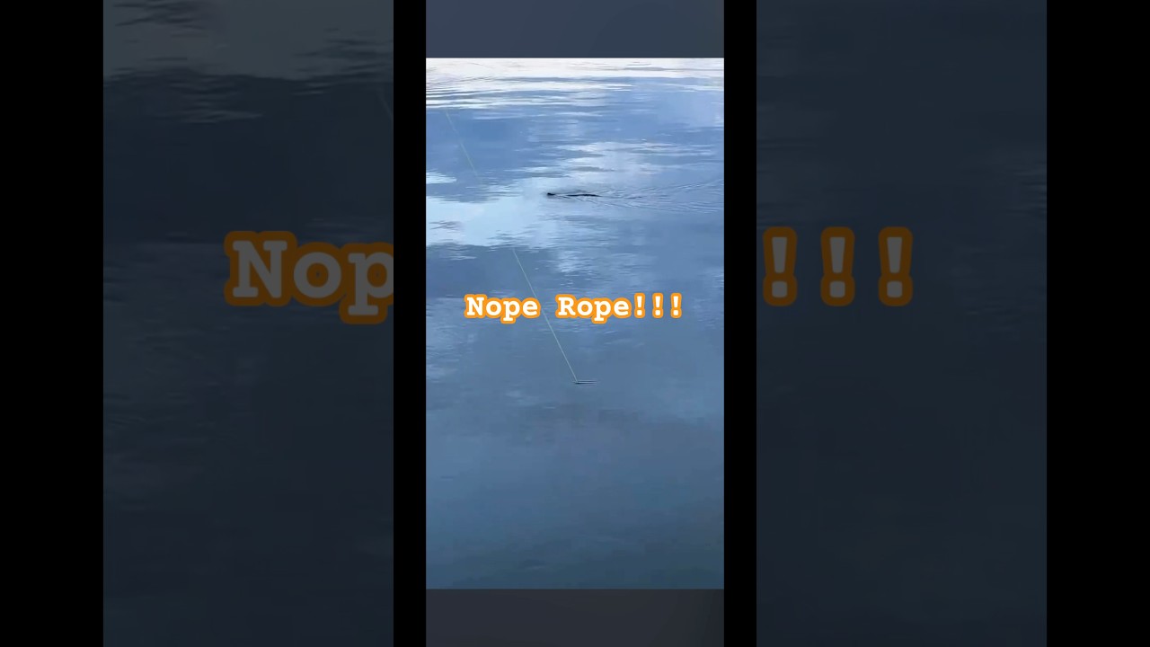 That’s a Nope Rope! 