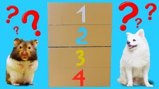 4 Level Maze For Hugo Hamster and Snowball Dog screenshot 3