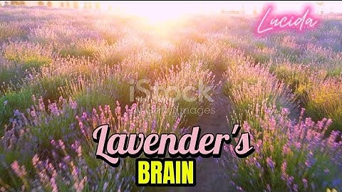 19 OKT C - Lavender’s Brain Trick: The Calm-Down Science