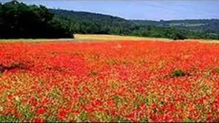 Green Fields of France by John McDermott