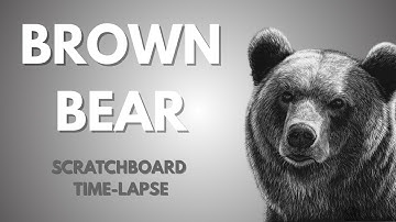 Brown Bear Scratchboard Time-Lapse