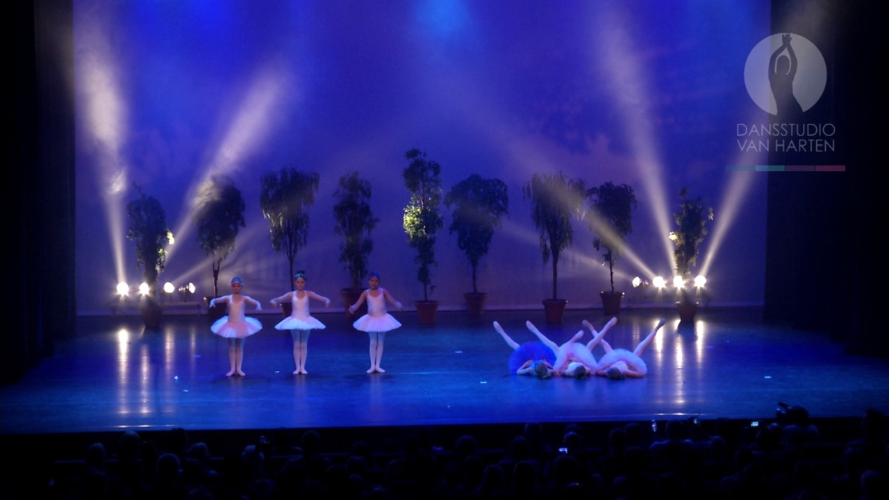Het Zwanenmeer Show 4 Klassiek ballet 8 tot 12 jaar maandag Weesp