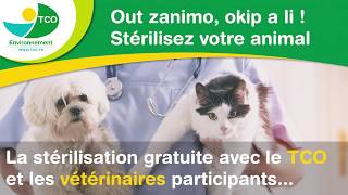 Comment stériliser des chats gratuitement ?