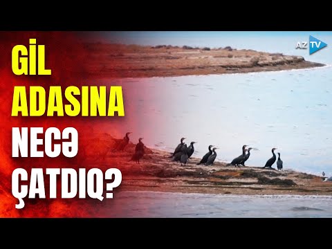 Video: İberiya yarımadası harada yerləşir?