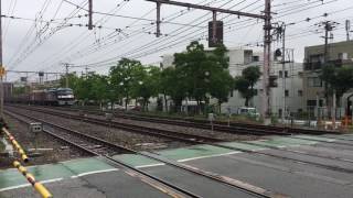 EF210-107+ムドEH500-67 2073レ さくら夙川〜芦屋間にて