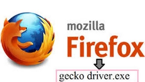 Selenium 3-x  Launching firefox browser using Geckodriver