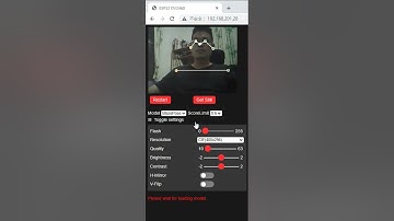 ESP32-CAM Pose-Detection (tfjs)