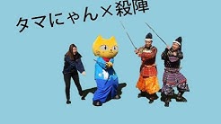 Youtuberタマにゃん Youtube Youtuberタマにゃん Youtube