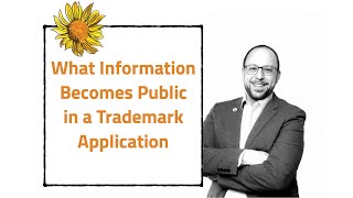 What Information Becomes Public in a Trademark Application