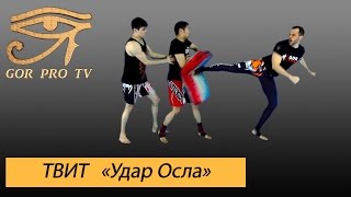 видео Методика TWI (Training Within Industry) - обучение линейных руководителей на производстве, подготовка кадров для предприятий промышленного сектора, комплексная программа обучения персонала