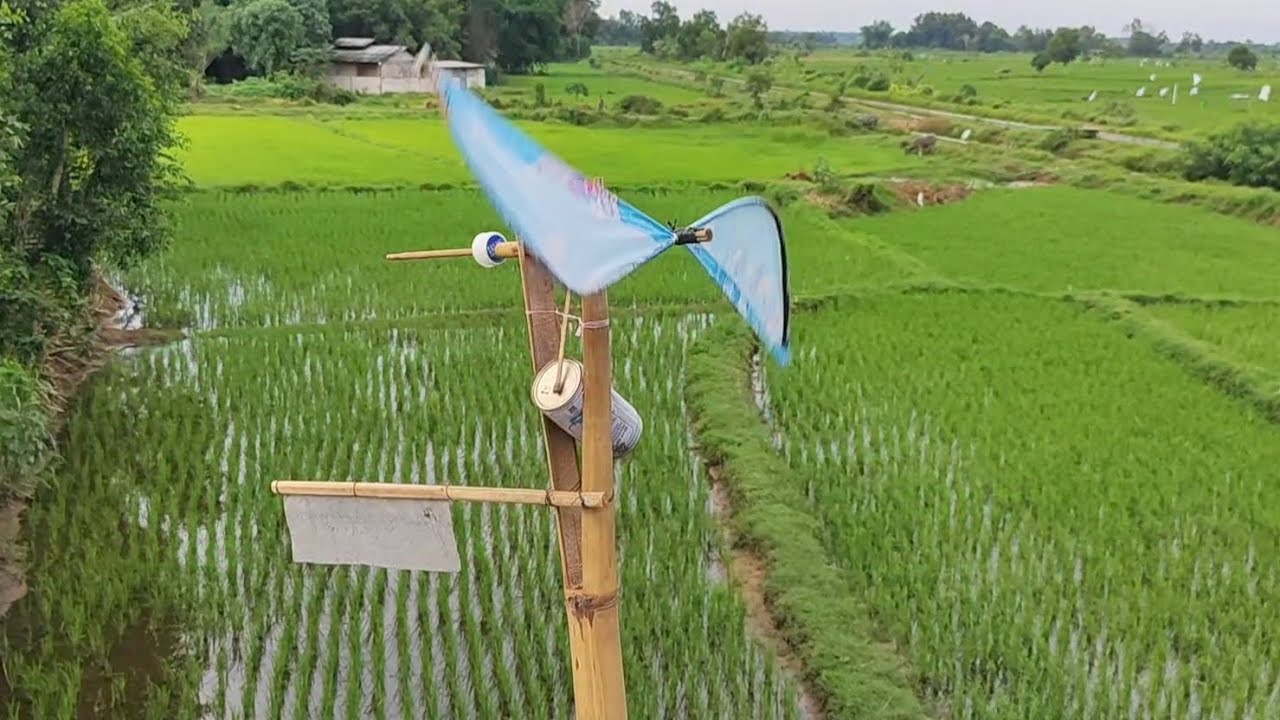 Cara Membuat Kincir Angin yang berbunyi untuk Mengusir Hama di persawahan
