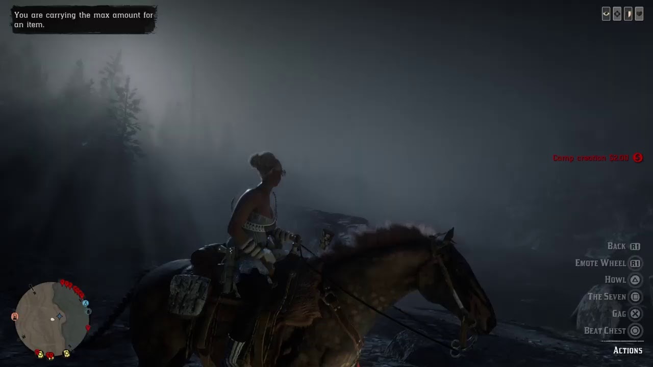 RED DEAD REDEMPTION 2 STORY GAMEPLAY PLAYTHROUGH PS4 WESTERN FRONTIER ...