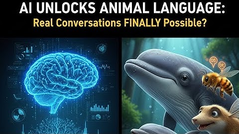 Scientists Just Decoded Language of the Whales and Bees Using AI... And It