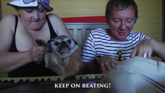 Video film porno jinsiy aloqa zombi qiz bilan Porno aka va opa bir biriga sorish