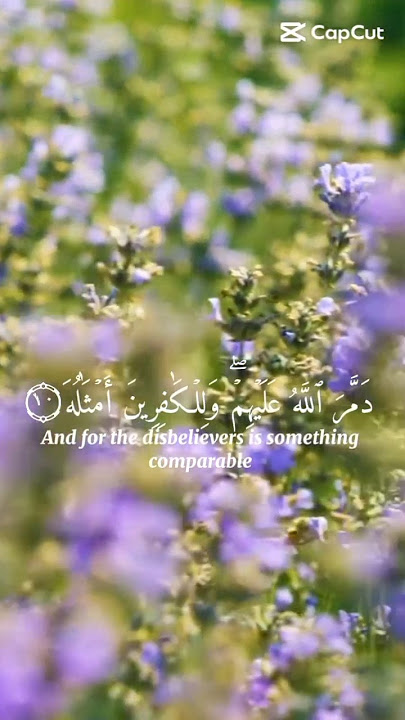 Surah Muhammad 47:10,12 | Al-Quran | Recitation | Thilawathquran@ThilawathQuran #quranrecitation