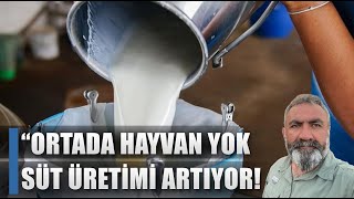 Ortada Hayvan Yokken Süt Üretimi Nasıl Arttı? Eşref Şekerli'den Gündem Yaratan Açıklama!