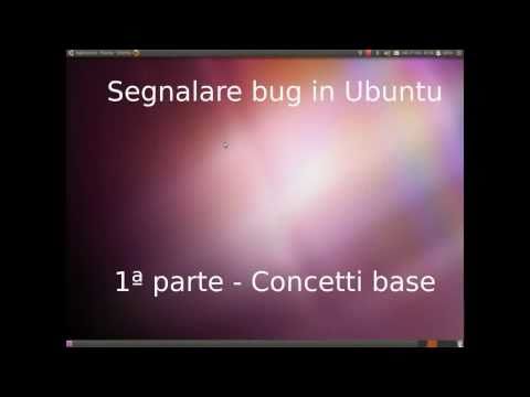 Video: Come Segnalare Un Bug Nel