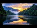 Journey to Paradise 🌿 Touching Tenderness of Music and Nature • Piano & Cello