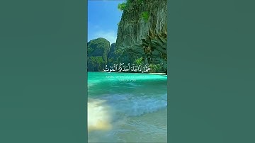هو القاهر فوق عباده #روائع_التلاوة