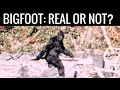 Is Bigfoot Real? Yes or No? A Complete Documentary