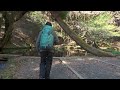I found underwater oasis in a Japanese forest
