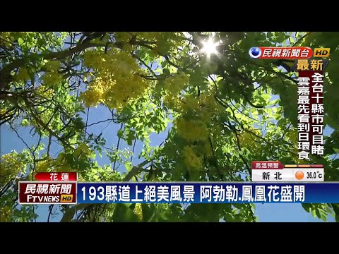 193縣道上絕美風景 阿勃勒.鳳凰花盛開－民視新聞