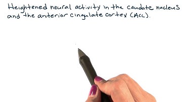 Biological basis of OCD - Intro to Psychology