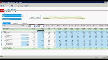 Infor ION BI Application Studio