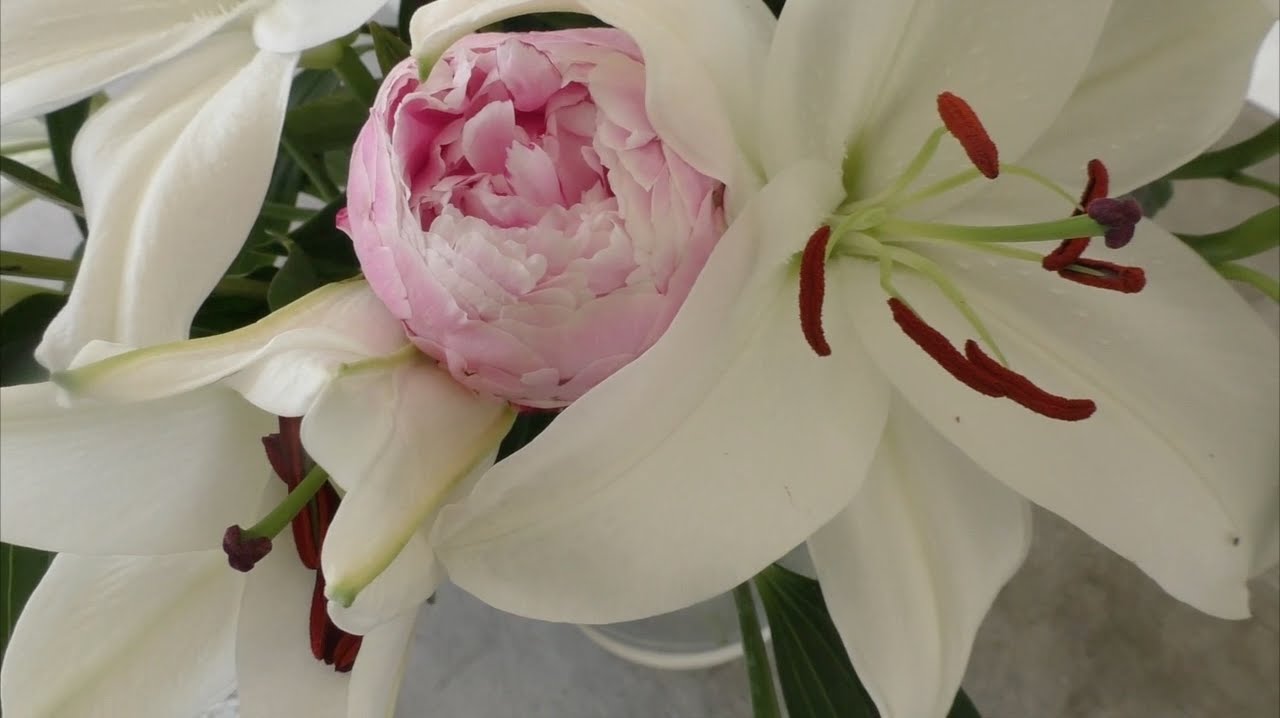 Dir gehört mein Herz - Jacky & Holger