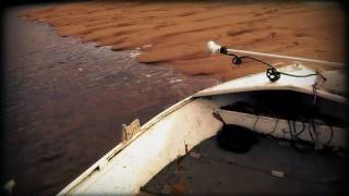 Gizmo loves a sand bank run