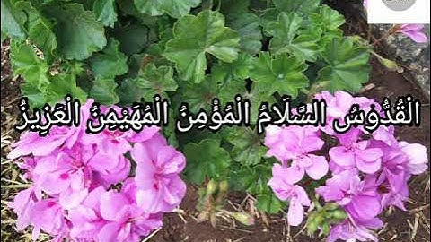 الأسماء الحسنى من أواخر سورة الحشر،تلاوة الشيخ إدريس أبكر 🌸