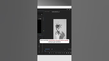 Selective Color Grading in Premiere Pro⚡️