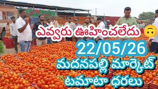 22/05/26 Madanapalle Tomato Market Price Today || Today Tomato Market Rate In Madanapalle #today 